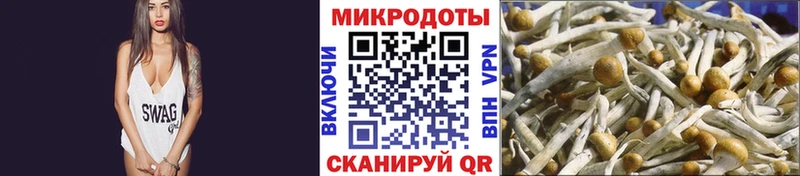 Купить где Дагестанские Огни Псилоцибиновые грибы MAGIC MUSHROOMS